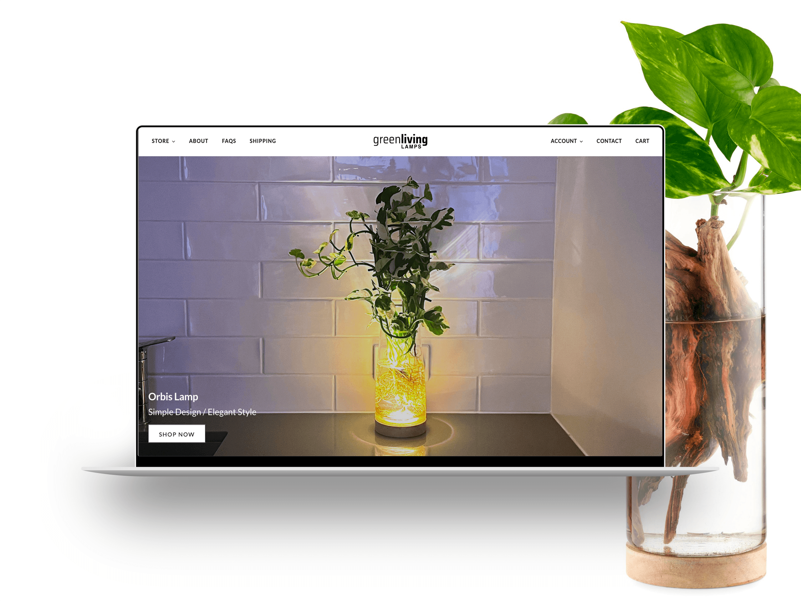 Green Living Lamps - Portfolio Project